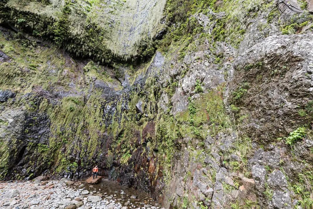 Madeira en invierno: 8 razones por las que merece la pena viajar